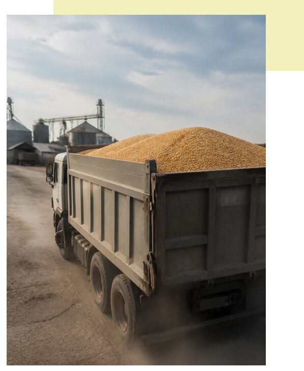 Перевозка сельхозпродукции навалом в Рассказово по цене от 3065 р. | Агросервис-Рсз