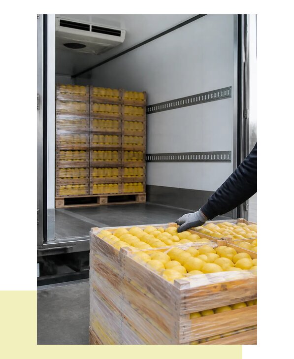 Перевозка лимонов в Рассказово с соблюдением температурного режима